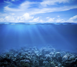 Underwater coral reef seabed view with horizon and water surface